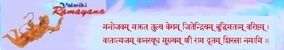 Header image for Desiraju Hanumanta Rao